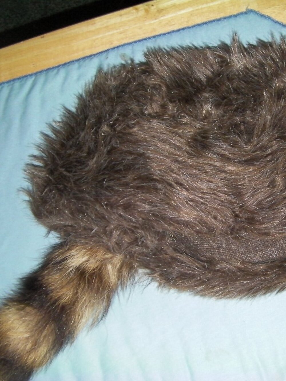 Coonskin Cap, Racoon Tail